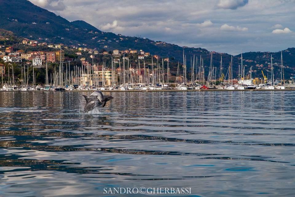 Number40Laspezia La Spezia Exterior photo